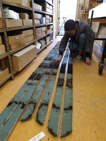 Sediment cores showing evidence of land level changes and tsunamis from a coastal lagoon in Hawkes Bay. 