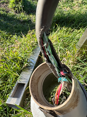 Sometimes a hungry rodent chooses to disconnect our sensors for us. The data collection equipment continues running, but without a sensor properly connected this data is useless