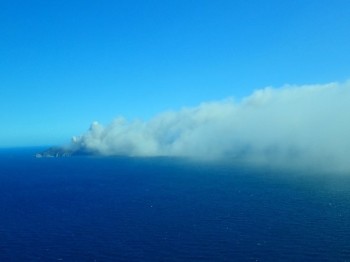 Image of the gas and ash plume at Whakaari White Island on 5 September 2024. Ash fall from the plume was only noted near the island. Credit K Britten.