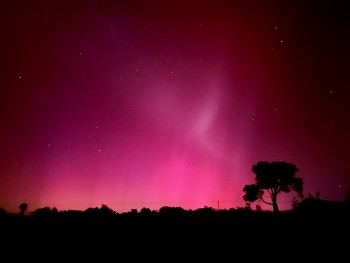 The Aurora Australis captured by GNS Sciences’ Bruce Girdwood, from the Wairarapa.