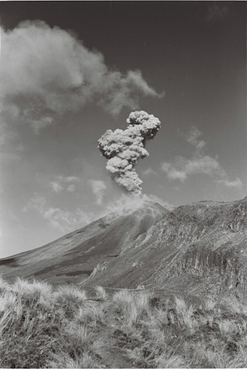 Ash cloud above Ngāuruhoe during 1954 eruption