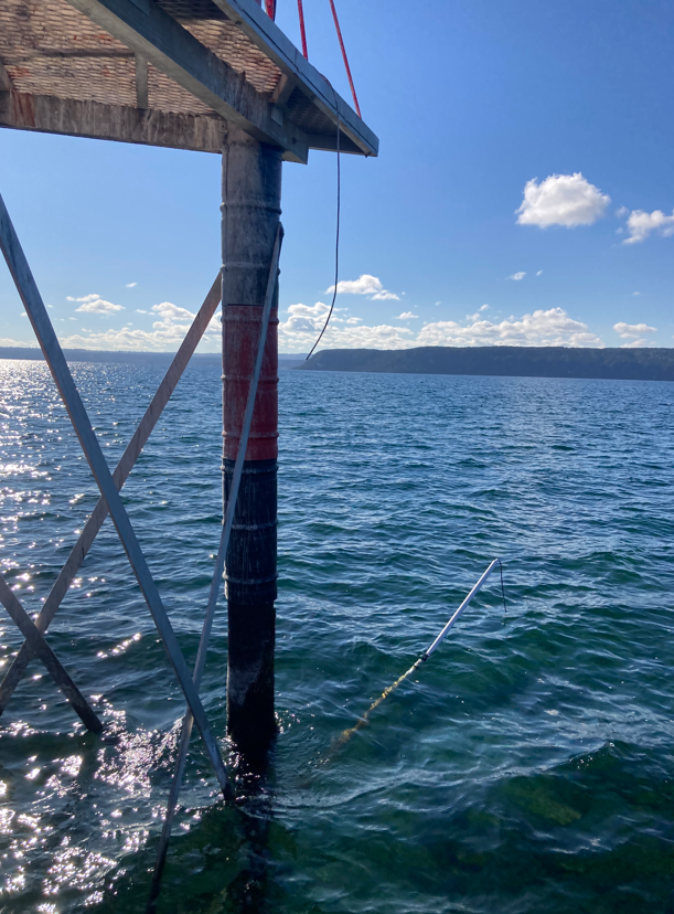 A broken cable at our tsunami monitoring gauge in Lake Taupo. When a cable snaps like this between the sensor and the datalogger, the datalogger will continue streaming junk noise, which we typically try to remove from the archive when we find it